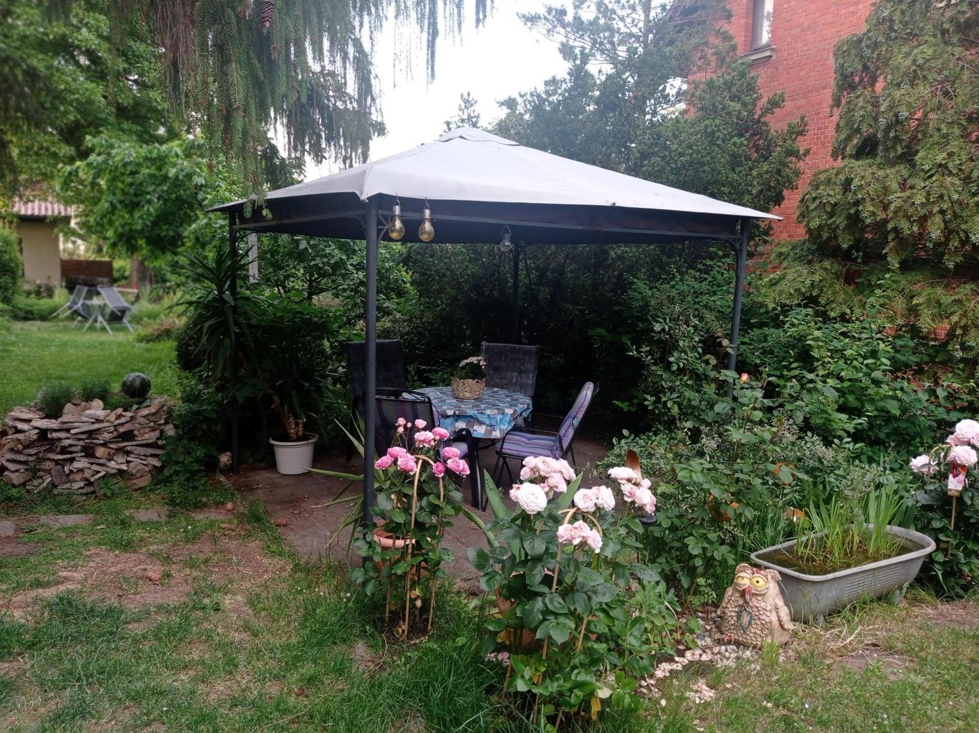 Ferienwohnung Markert Blankenburg  Oda fotoğraf